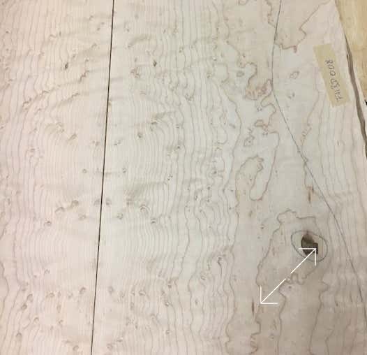 Gitarren - Boden und -Zargen  Birdseyemaple